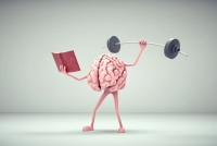 Las Mañanas - Com entrenar el nostre cervell