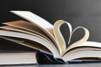 La Intersecció - Atrapada entre llibres: lectures romàntiques