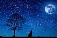 La Intersecció - Contesentit: "L'origen de la nit i les estrelles"