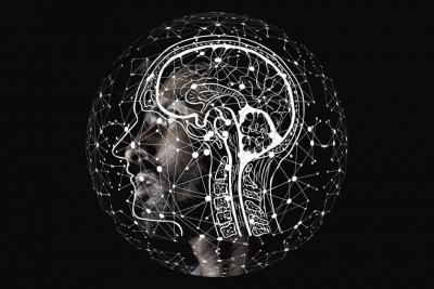 Las Mañanas - Coaching: els neurotransmisors