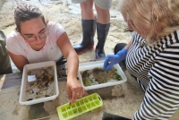 La Intersecció - 858 De flor en flor - Programa sencer