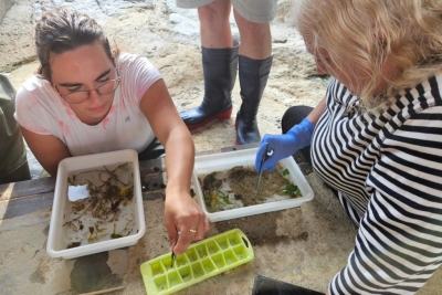 La Intersecció - 858 De flor en flor - Programa sencer