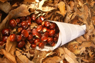 La mare dels ous - De pet a la Castanyada