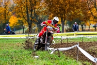 La Intersecció - 871 A menjar castanyes - Programa sencer