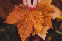 La Intersecció - 889 Cultura i conscienciació - Programa sencer