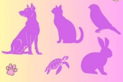 La Intersecció - Eterns: incomprensió del dol animal