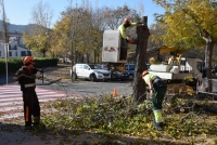 La Intersecció - 903 Desembre d'espectacles - Programa sencer