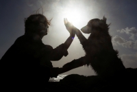 La Intersecció - Eterns: el dol animal durant el Nadal