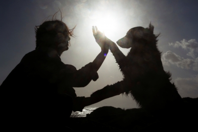 La Intersecció - Eterns: el dol animal durant el Nadal