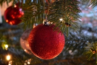 La mare dels ous - El Nadal ja és arribat!