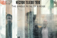 La Intersecció - Héctor Tejedo Trio presenta l'àlbum "The Single Petal of a Rose"