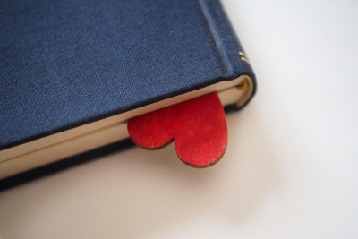 La Intersecció - El mundo me cabrea: categoria "literatura juvenil"