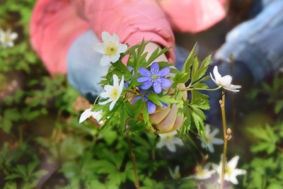 El viaje a ninguna parte - Sinceritat