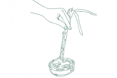 Las Mañanas - Els Bartomeus se'n van de calçotada!