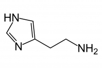 Las Mañanas - Somos lo que sentimos: reduir la histamina