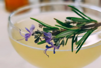 La Intersecció - 692 Còctels, debats i curiositats - Programa sencer