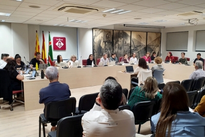 Las Mañanas - Crònica del Ple d'abril