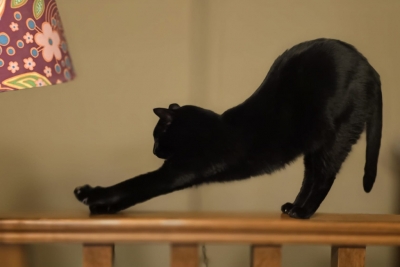 33 Un tercio RPM - Virus mentals