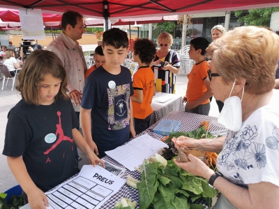 Las Mañanas - Les cooperatives de l'Escola Mogent venen les seves verdures ecològiques