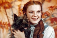 La Llanterna Màgica - Centenari del naixement de Judy Garland