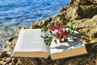 Las Mañanas - Un munt de llibres per llegir aquest Nadal